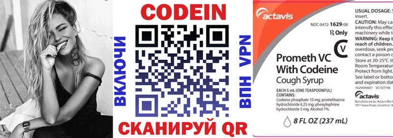 Купить закладки  Вилючинск  Кодеин Purple Drank 