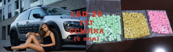 гидропоника Каменногорск