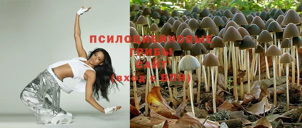 кристаллы Каменка
