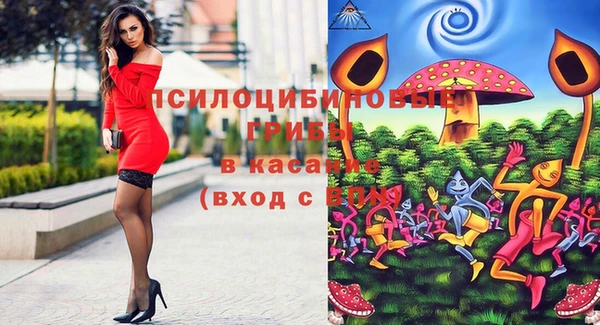 гидропоника Каменногорск