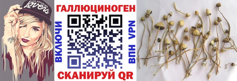 Псилоцибиновые грибы GOLDEN TEACHER  Купить  Вилючинск 