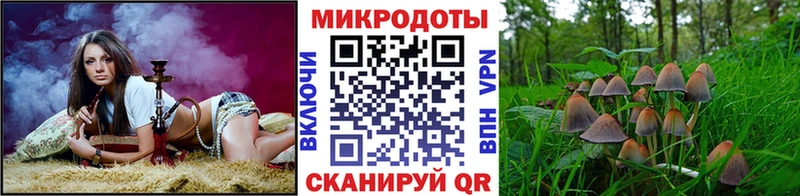 Галлюциногенные грибы Psilocybine cubensis Вилючинск